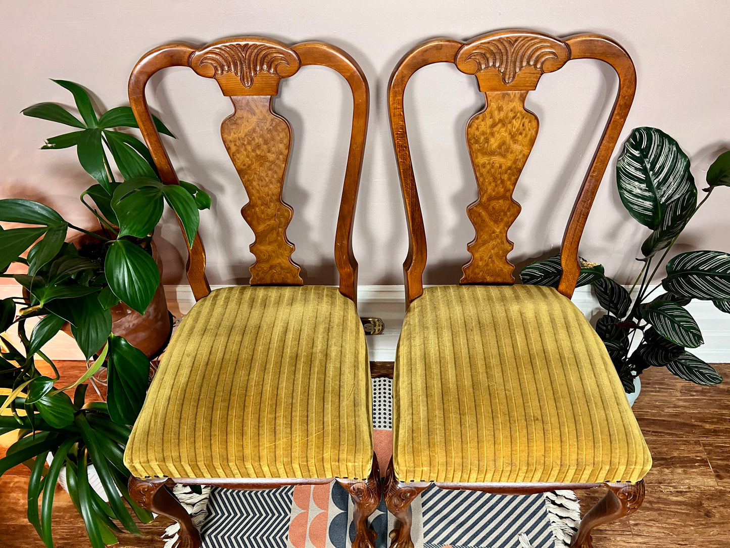 The Magnificent Mustard Chairs