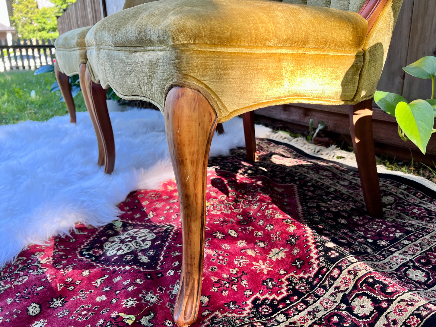 The Francine & Gilbert Chairs