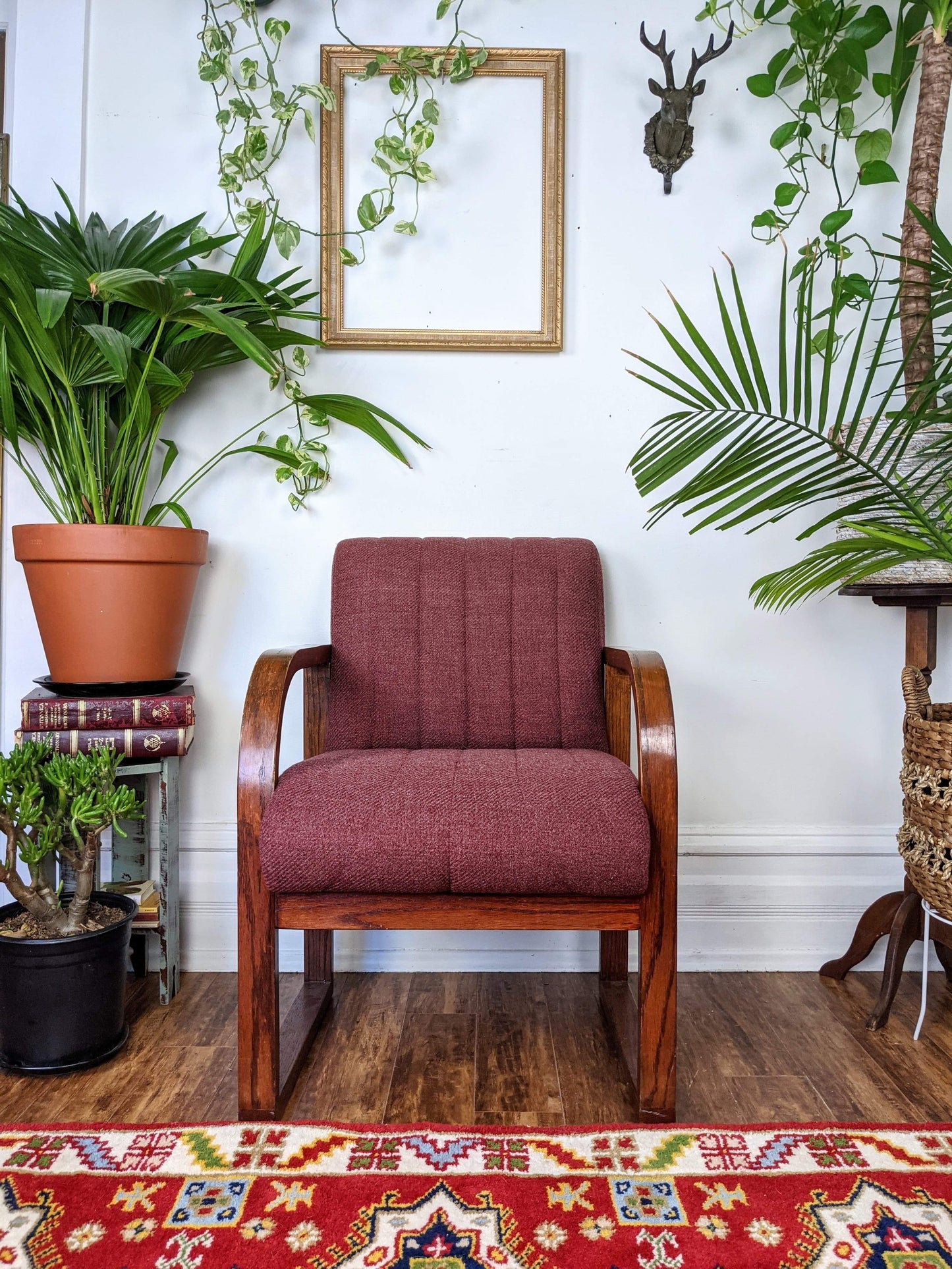 The Coral Tree Chairs