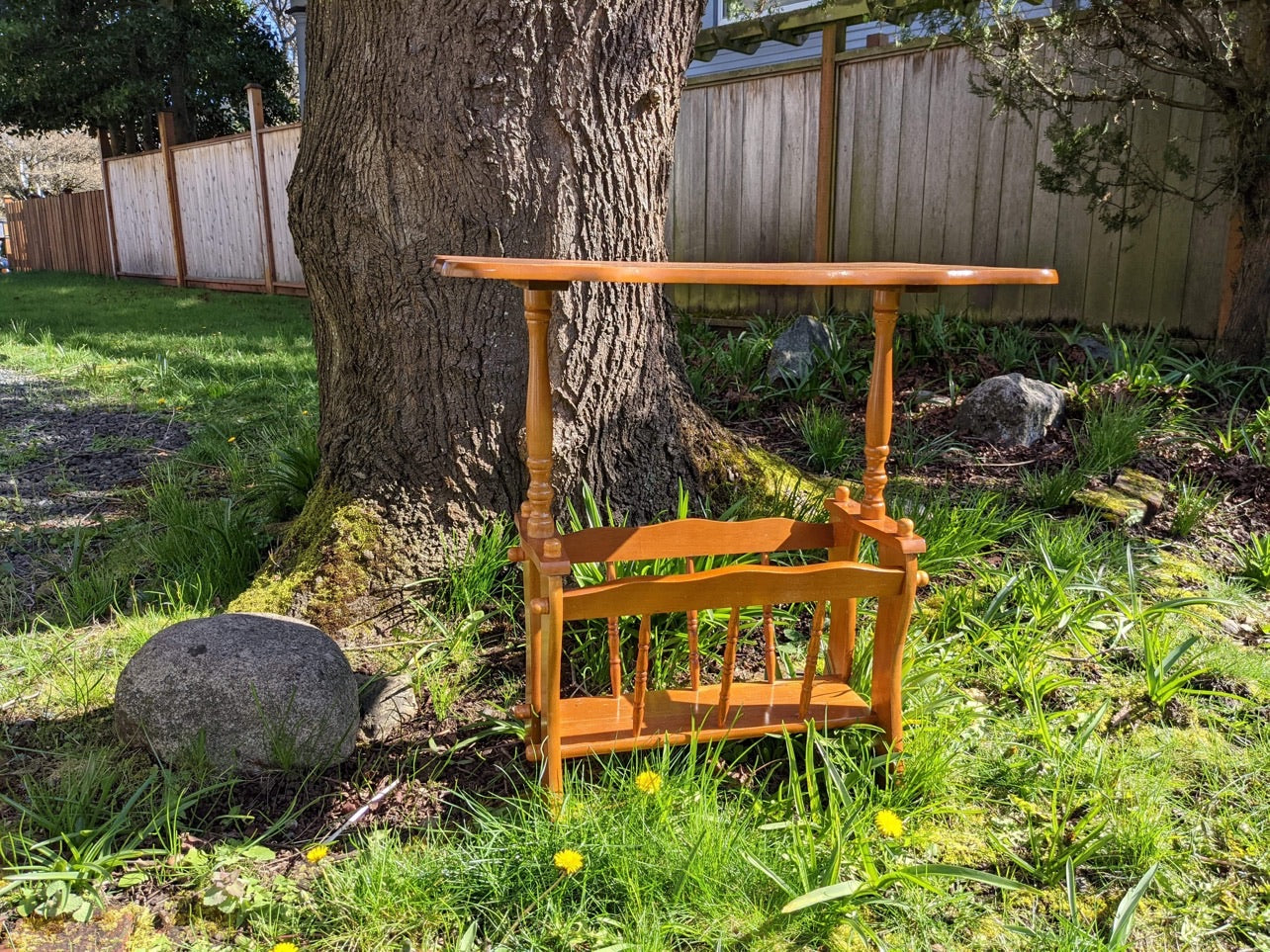 The Sid Side Table & Magazine Holder