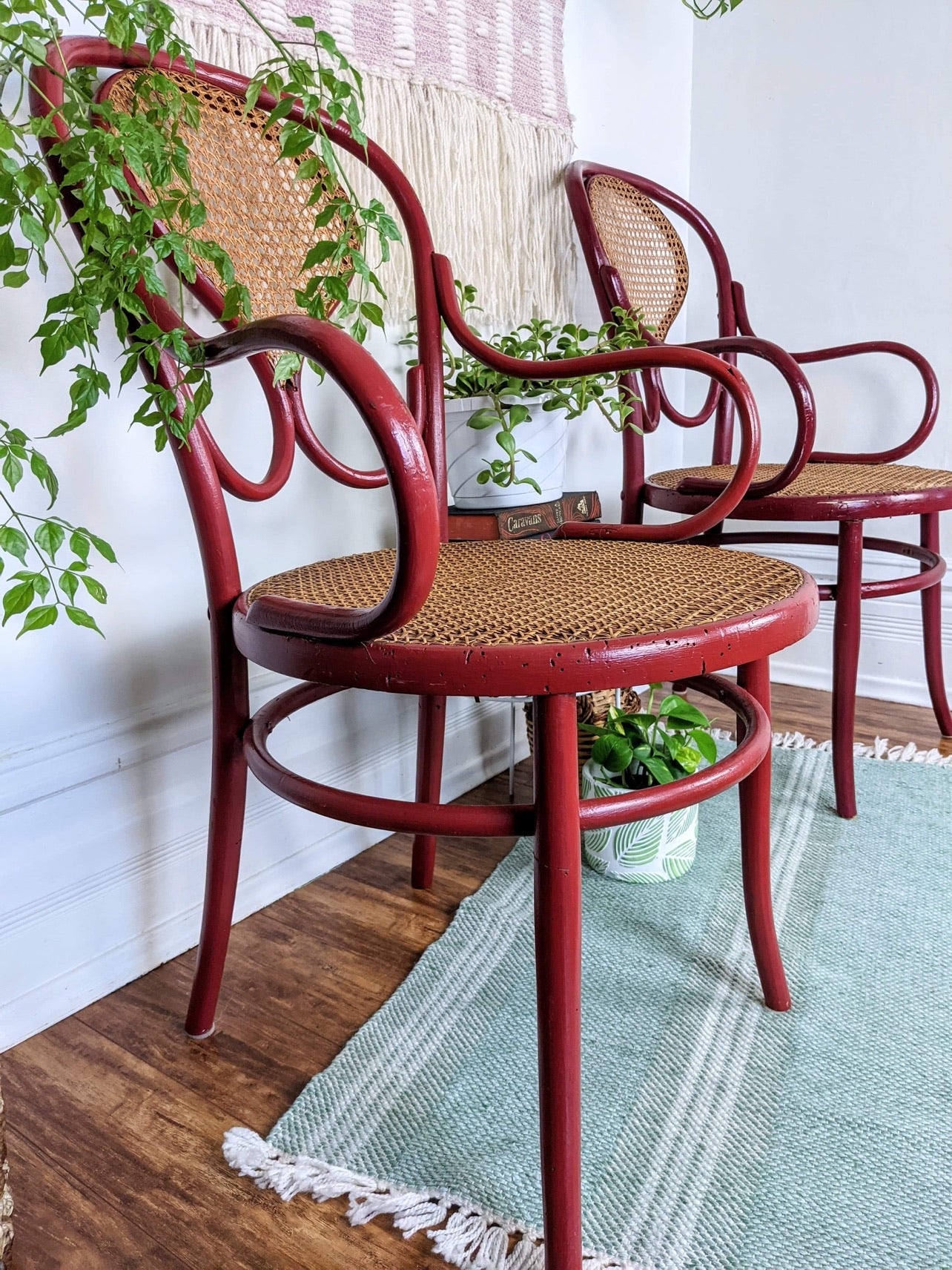 The Rouge Bentwood Chairs
