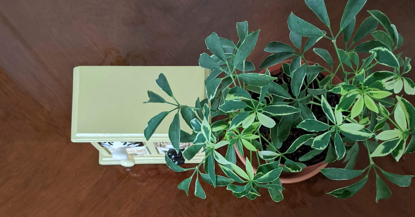 The Four Seasons Spice Cabinet