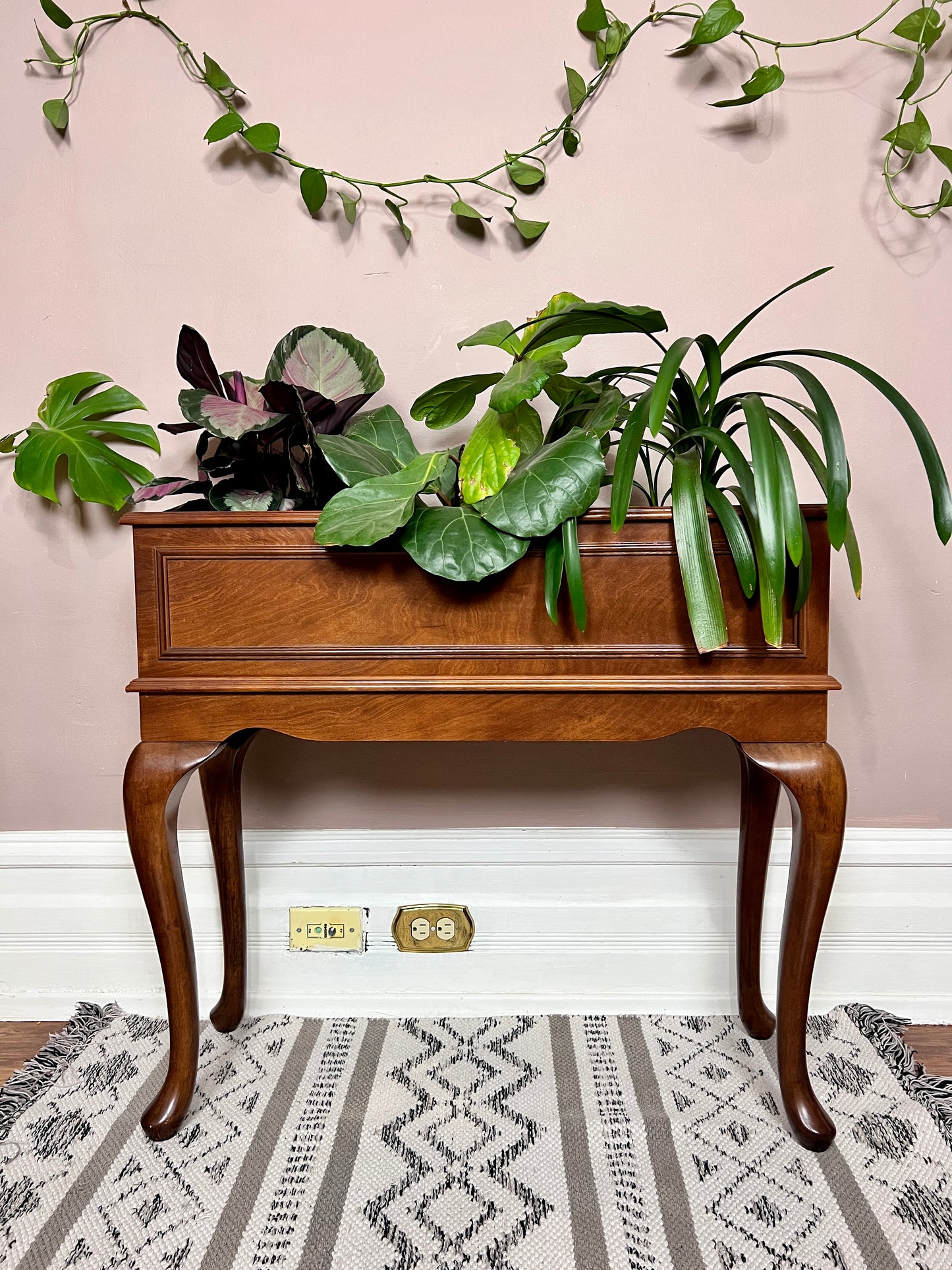 The Mahogany Planter