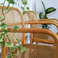 The Prague Bentwood Chairs(Only 1 left!)