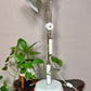 MCM Swing Arm Lamp