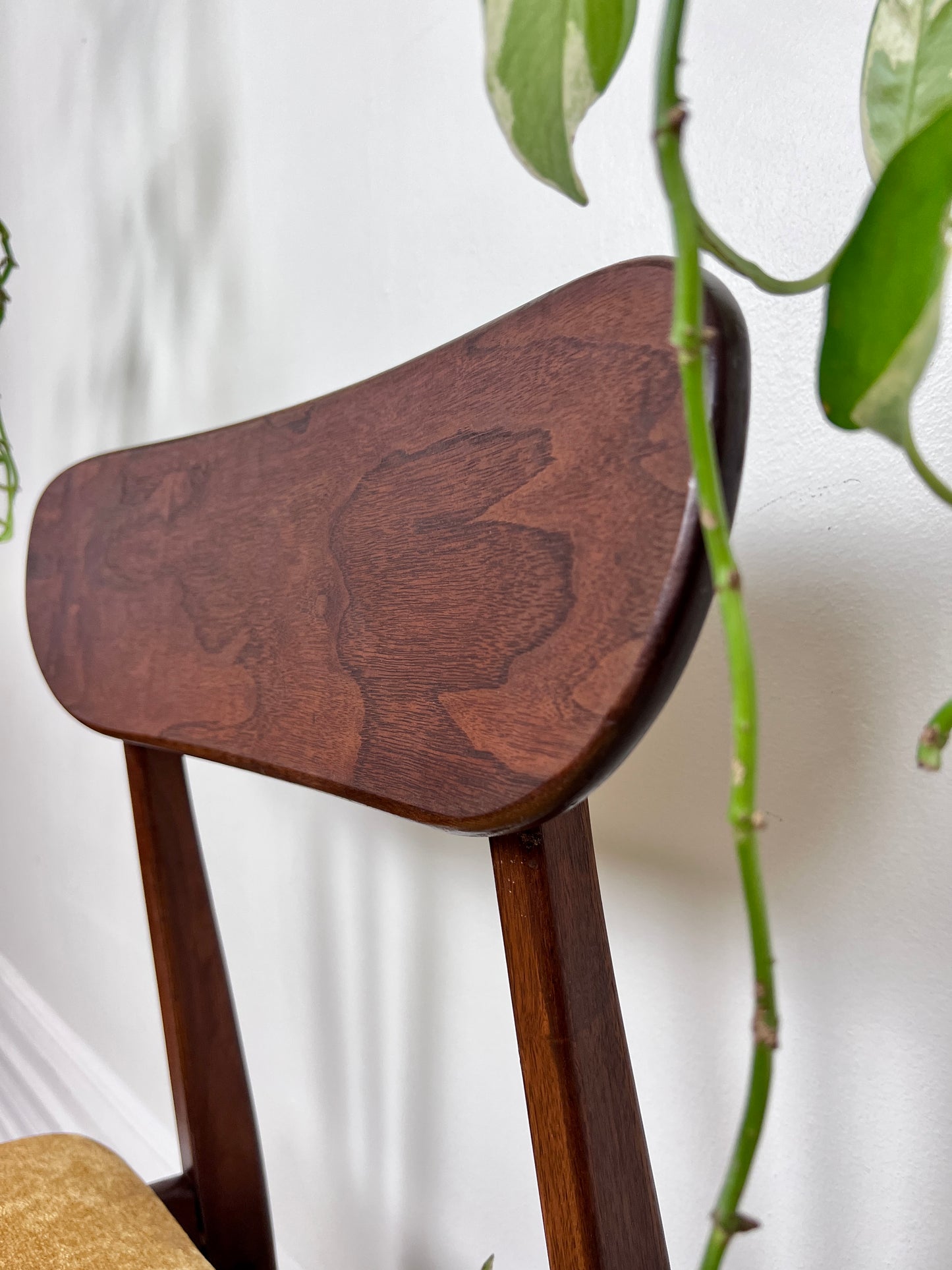 The Valmar Chairs