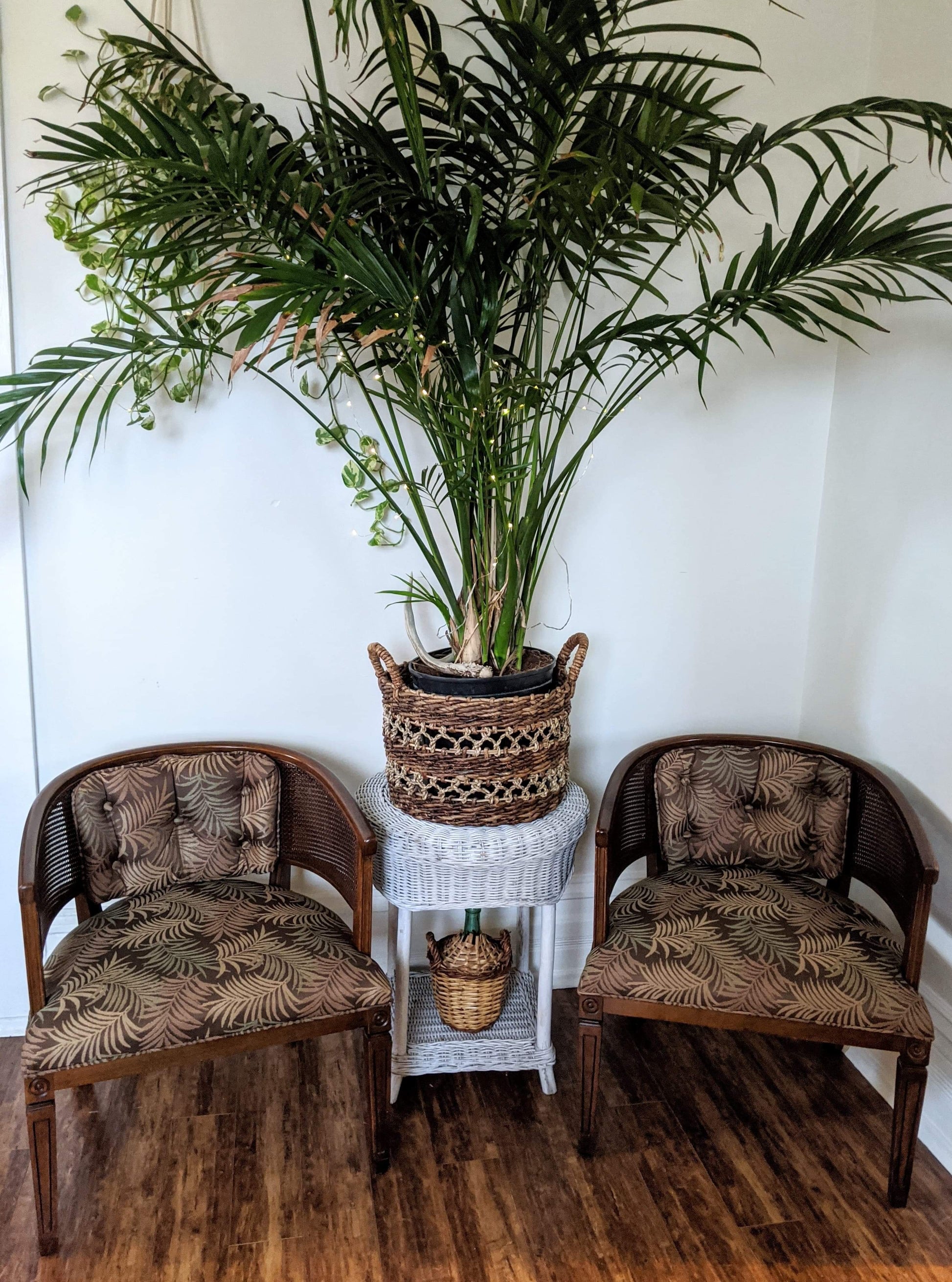 Wicker Wood Barrel Style Bombay 1960's fabric palm print dark brown victoria bc canada used second hand thrift