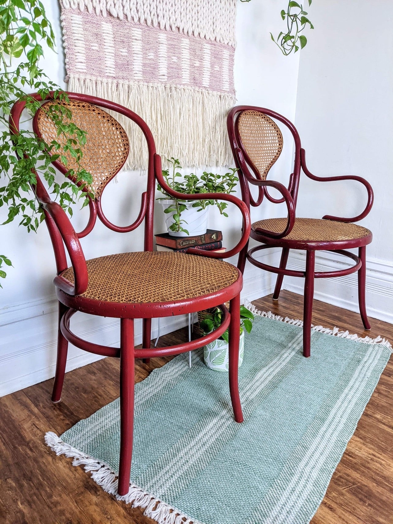 The Rouge Bentwood Chairs