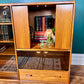 The Tamino Teak Cabinet