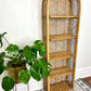 The Kroon Shelf