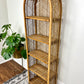 The Kroon Shelf
