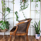 The Abner Chair