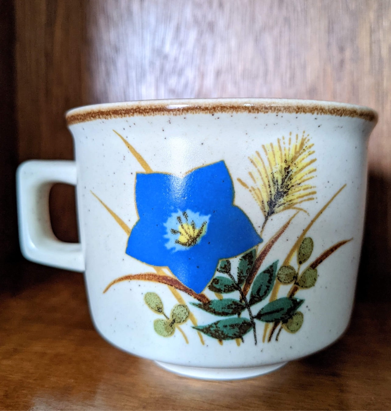 The Mikasa Susuki Stoneware Set