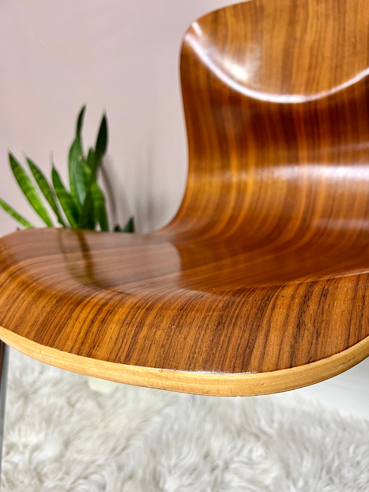 The Bergamot Chairs