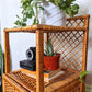 The Franco Wicker Side Tables