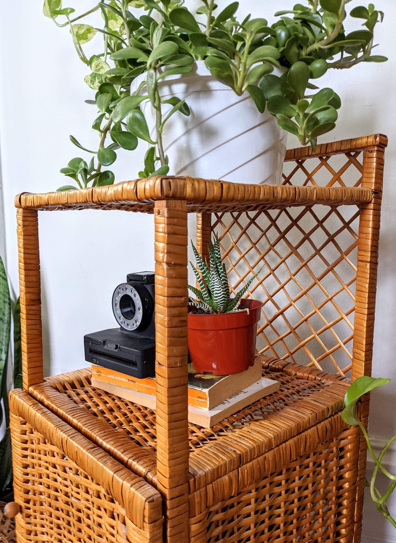 The Franco Wicker Side Tables