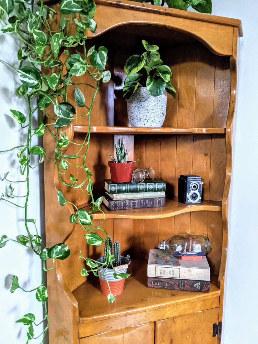 The Sea Side Shelf Cabinet