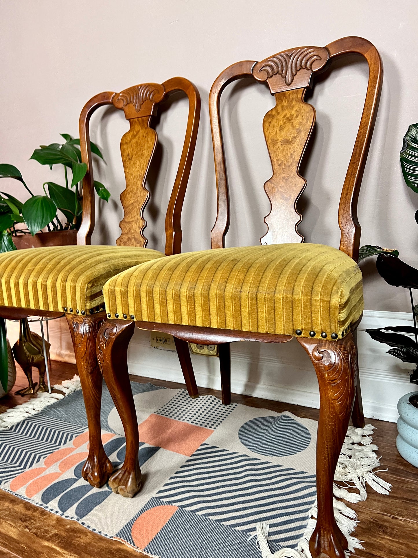 The Magnificent Mustard Chairs