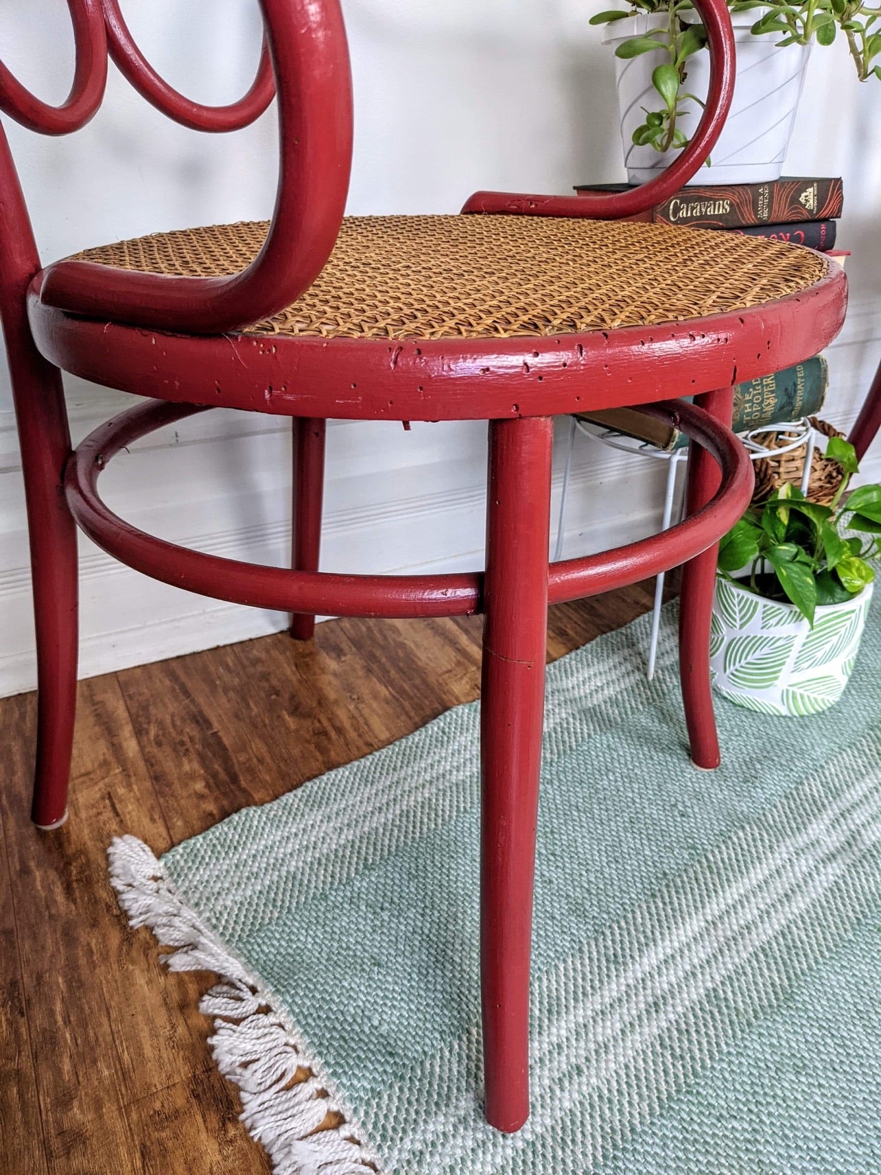The Rouge Bentwood Chairs