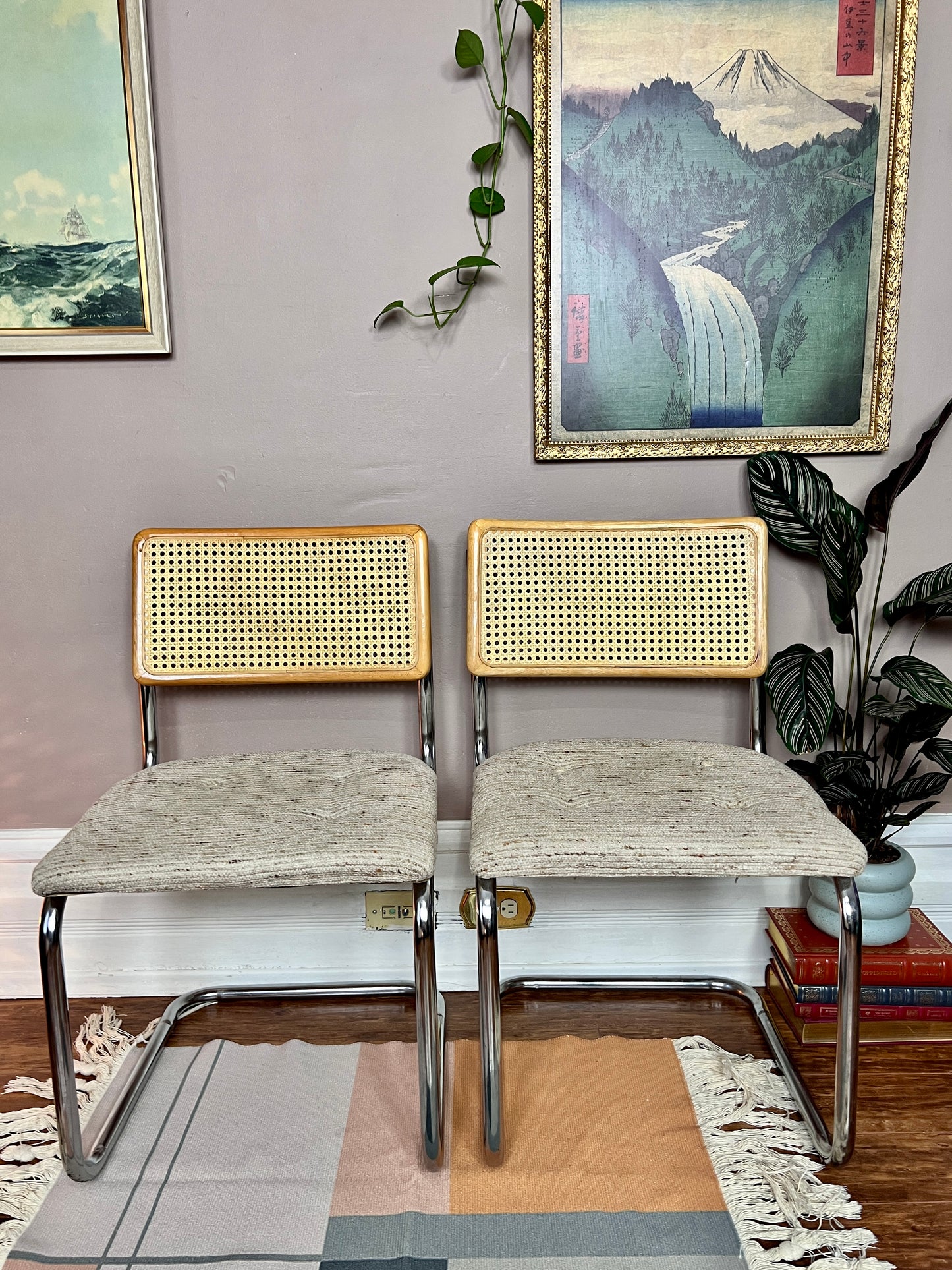 The Cesca Style Chairs