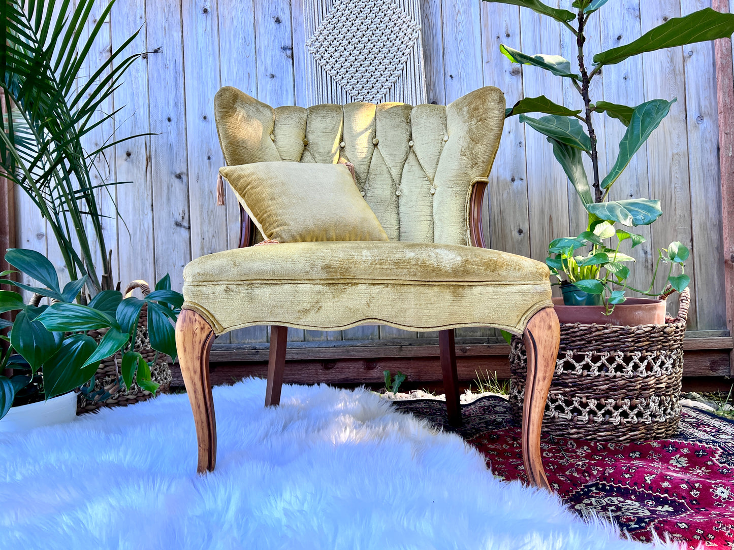 The Francine & Gilbert Chairs