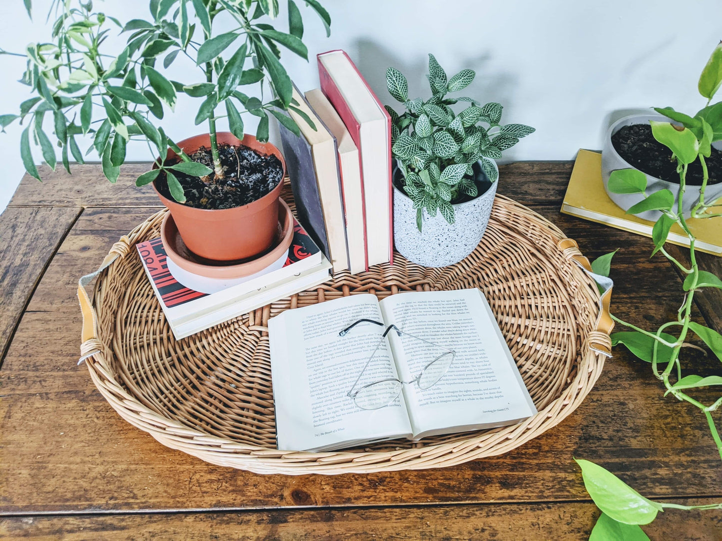 The Weston Wicker Tray