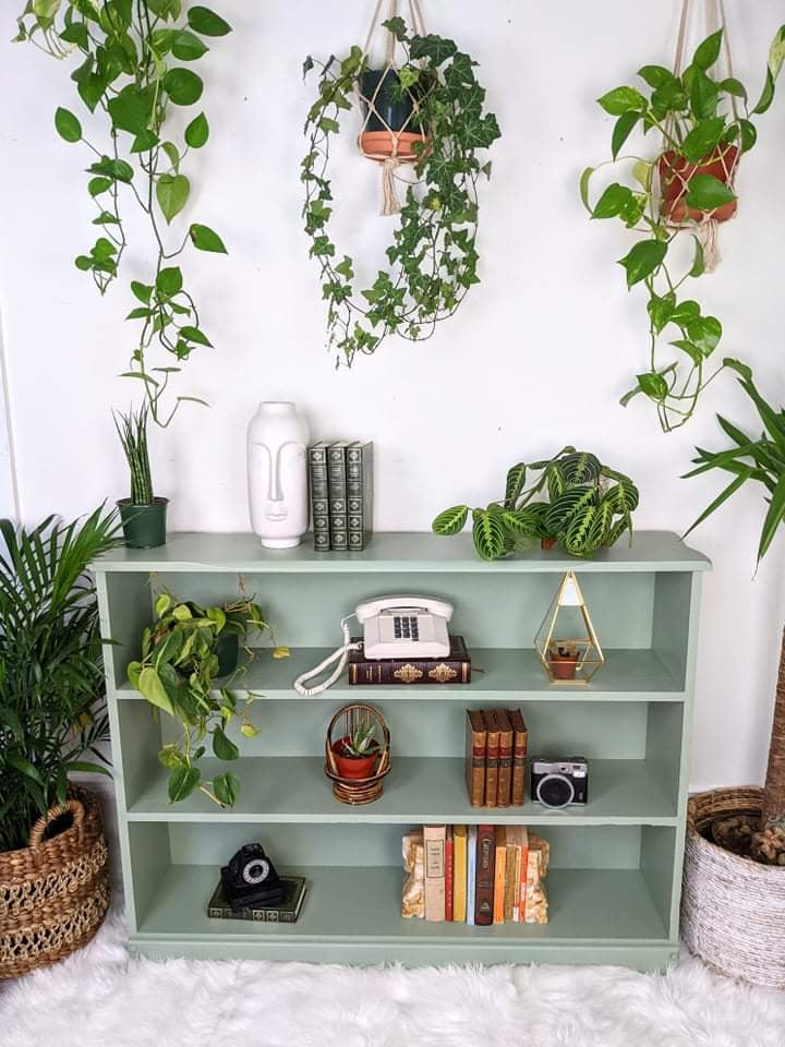 The Spanish Moss Shelf