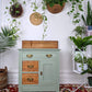 The Jungle Mist Cabinet