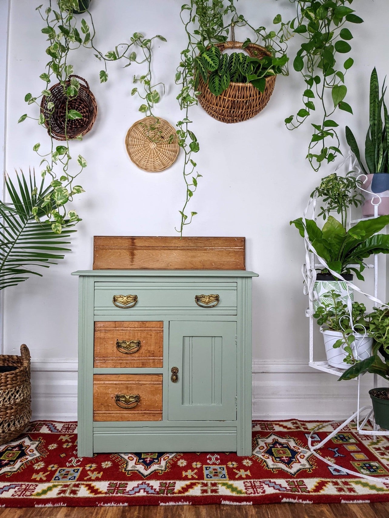 The Jungle Mist Cabinet