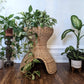 The Feline Hut & Plant Stand