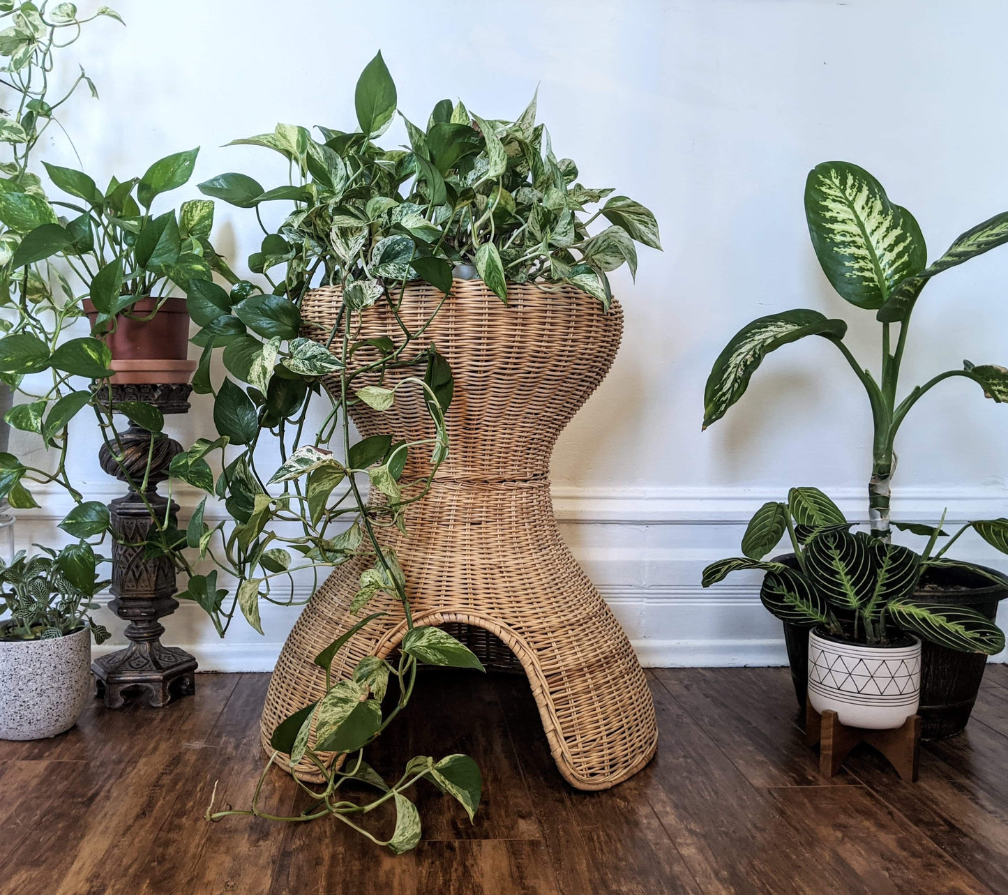 The Feline Hut & Plant Stand