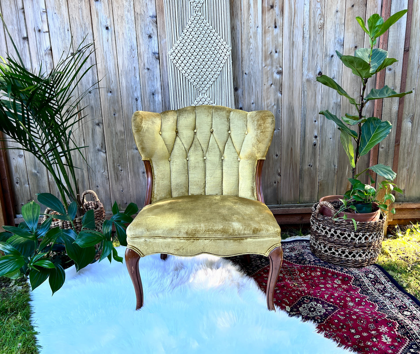 The Francine & Gilbert Chairs