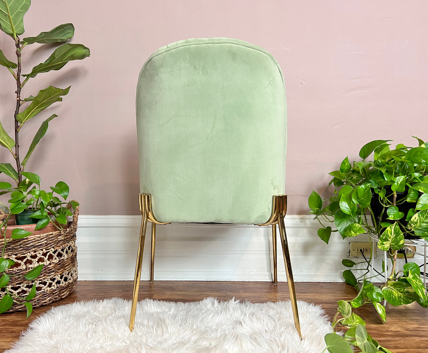 The Spearmint Chairs
