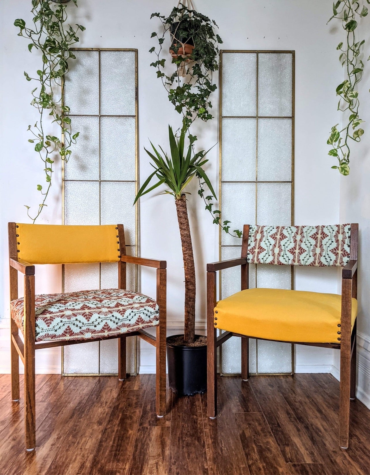 The Arizona Chairs
