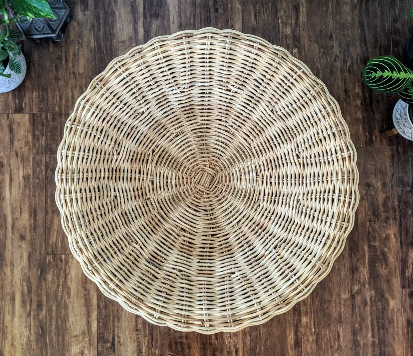 The Feline Hut & Plant Stand