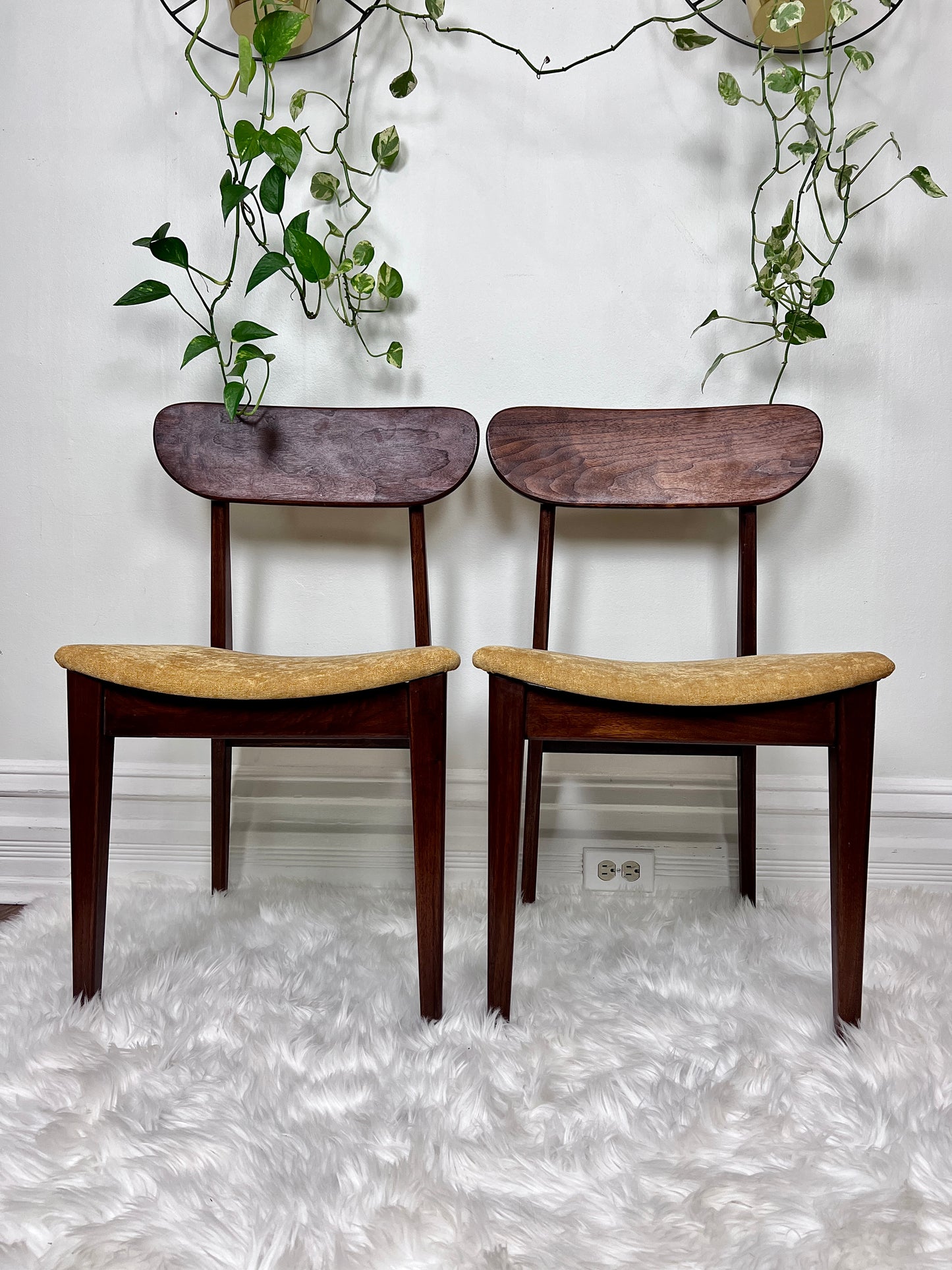 The Valmar Chairs