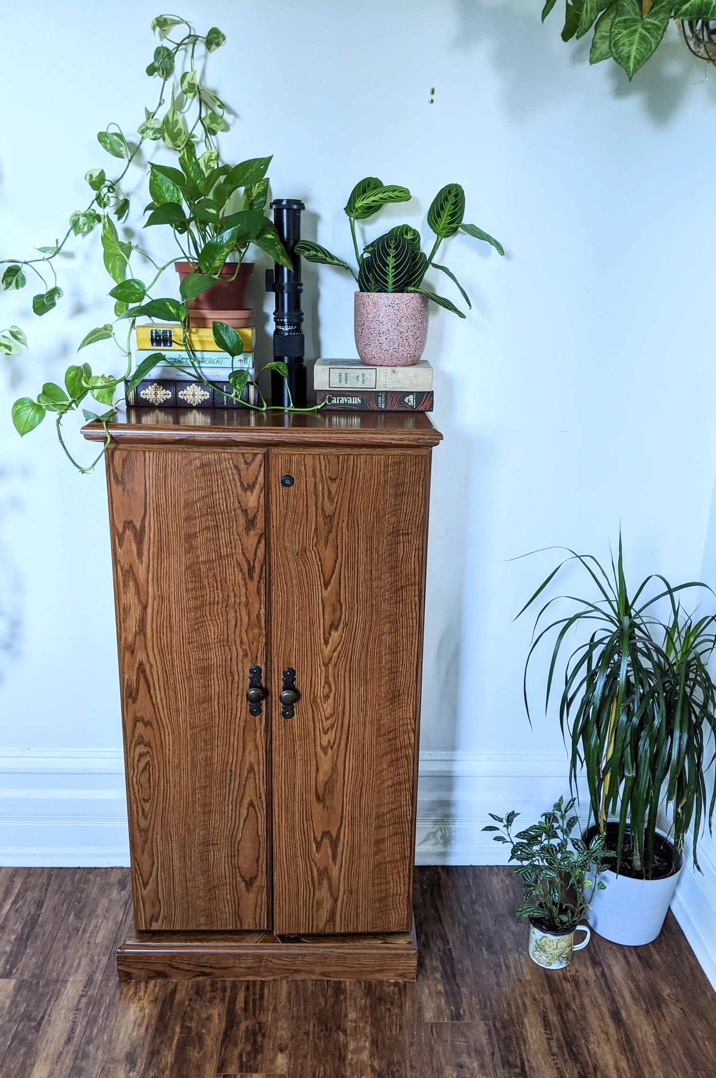 The Spicy Brown Cupboard II