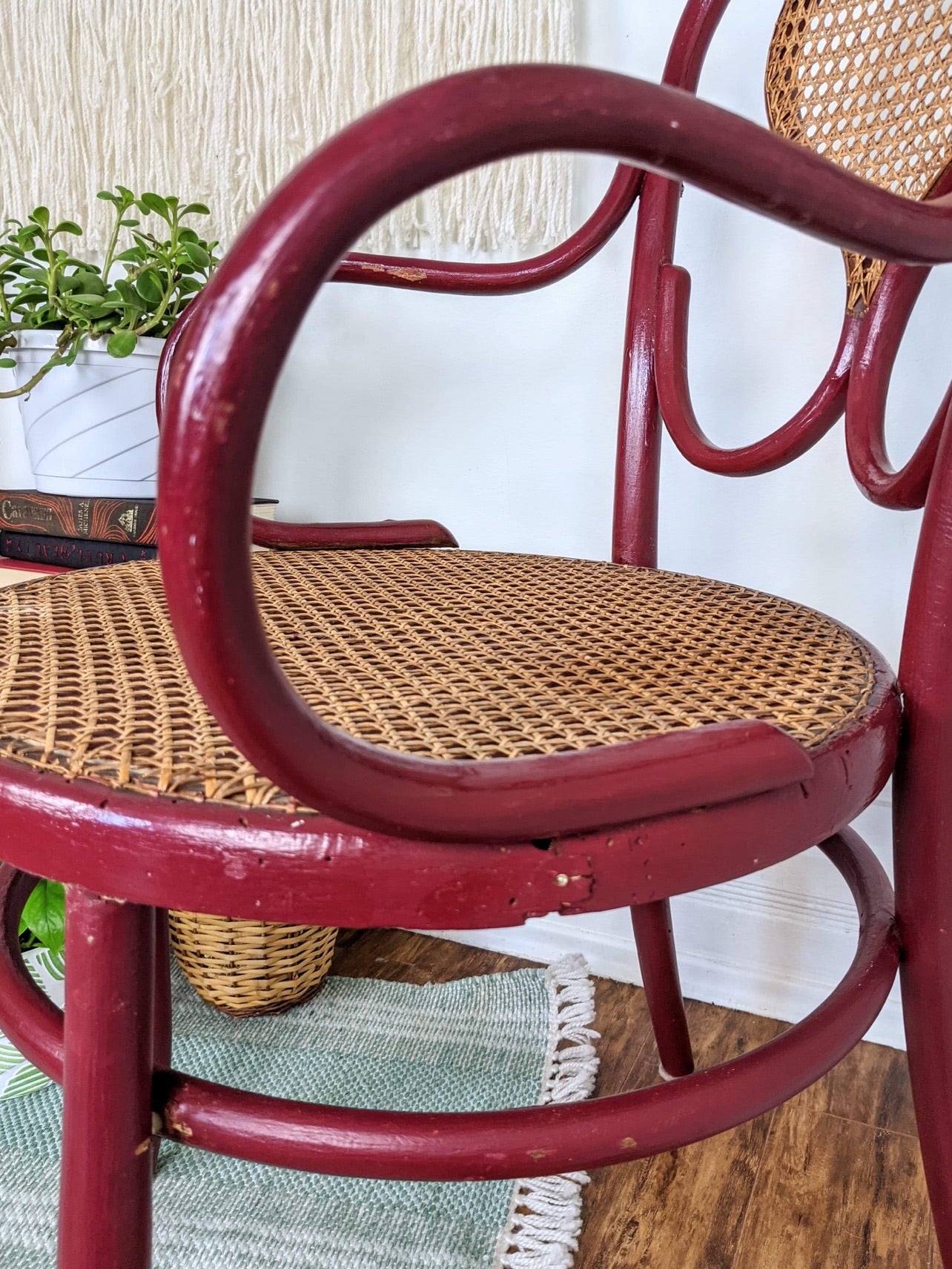 The Rouge Bentwood Chairs
