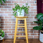 The Pine Stool