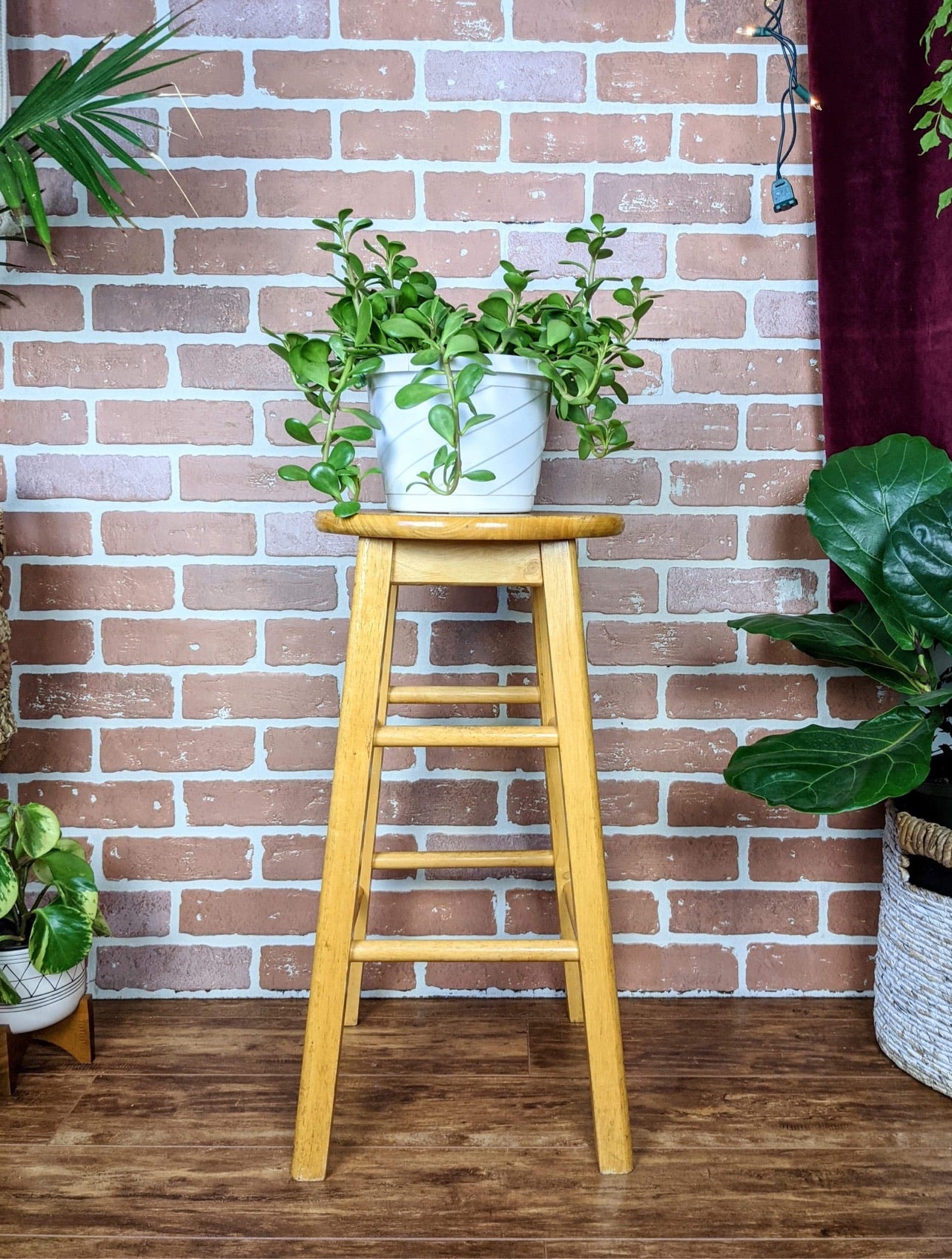 The Pine Stool