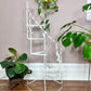 The Spiral Staircase Plant Stand