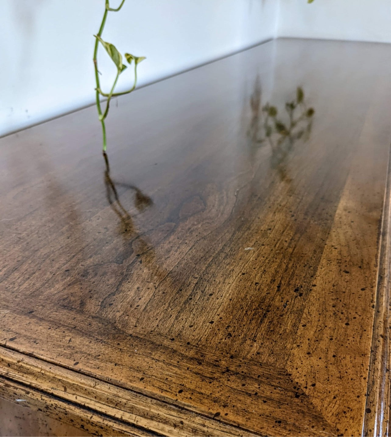 The Esperanza Credenza