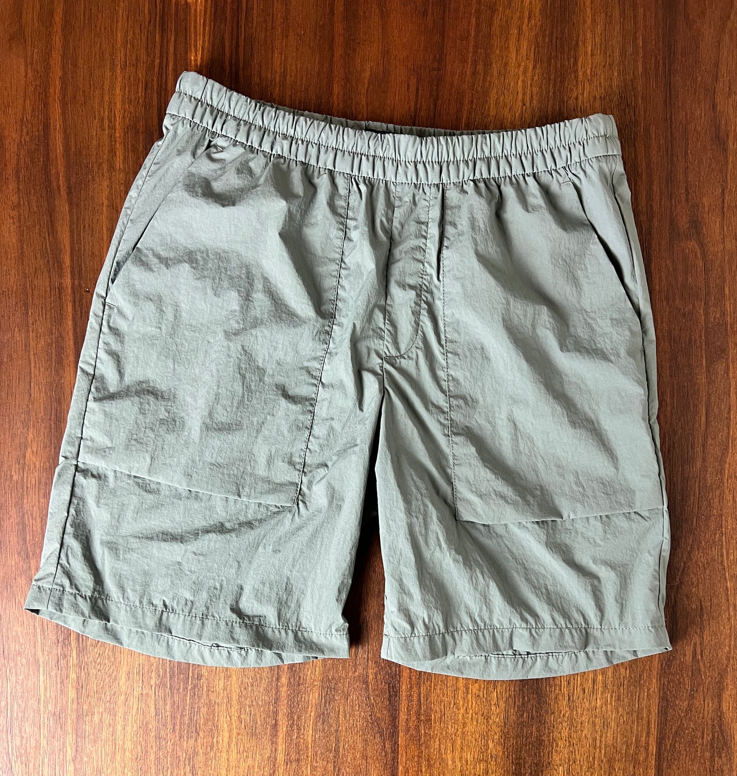 The Sage Nylon Shorts