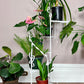 The Spiral Staircase Plant Stand