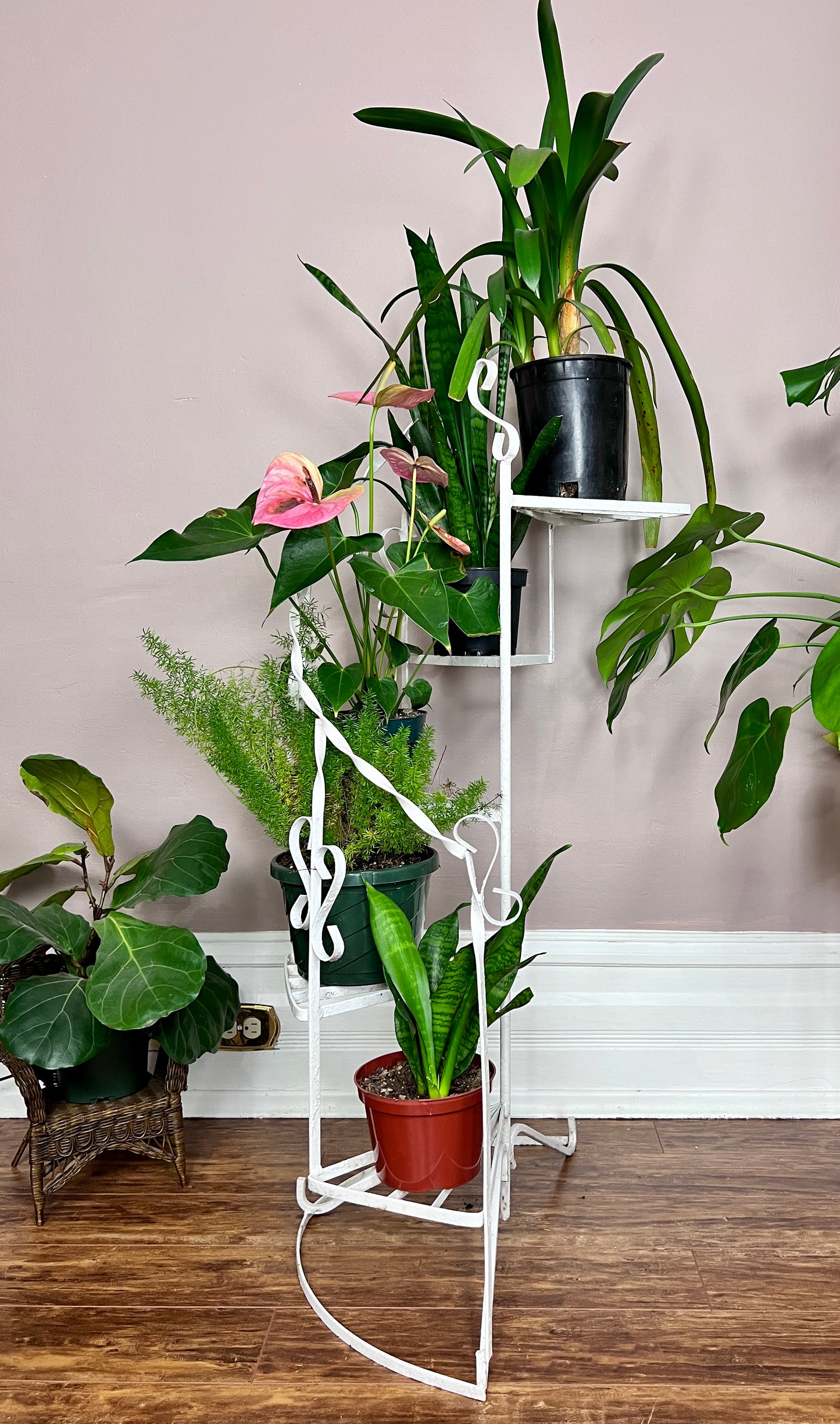 The Spiral Staircase Plant Stand
