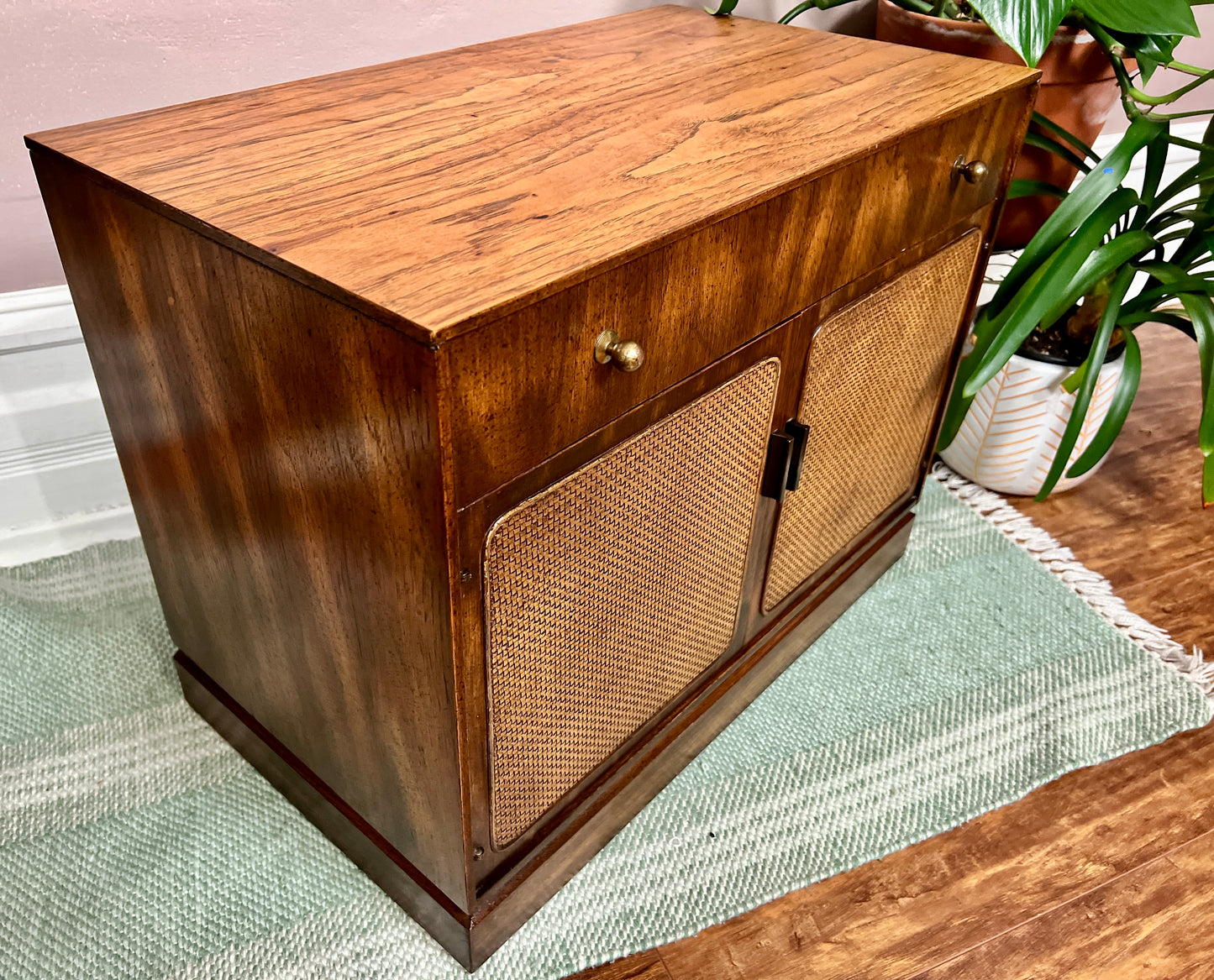 The Kaslo Cabinet
