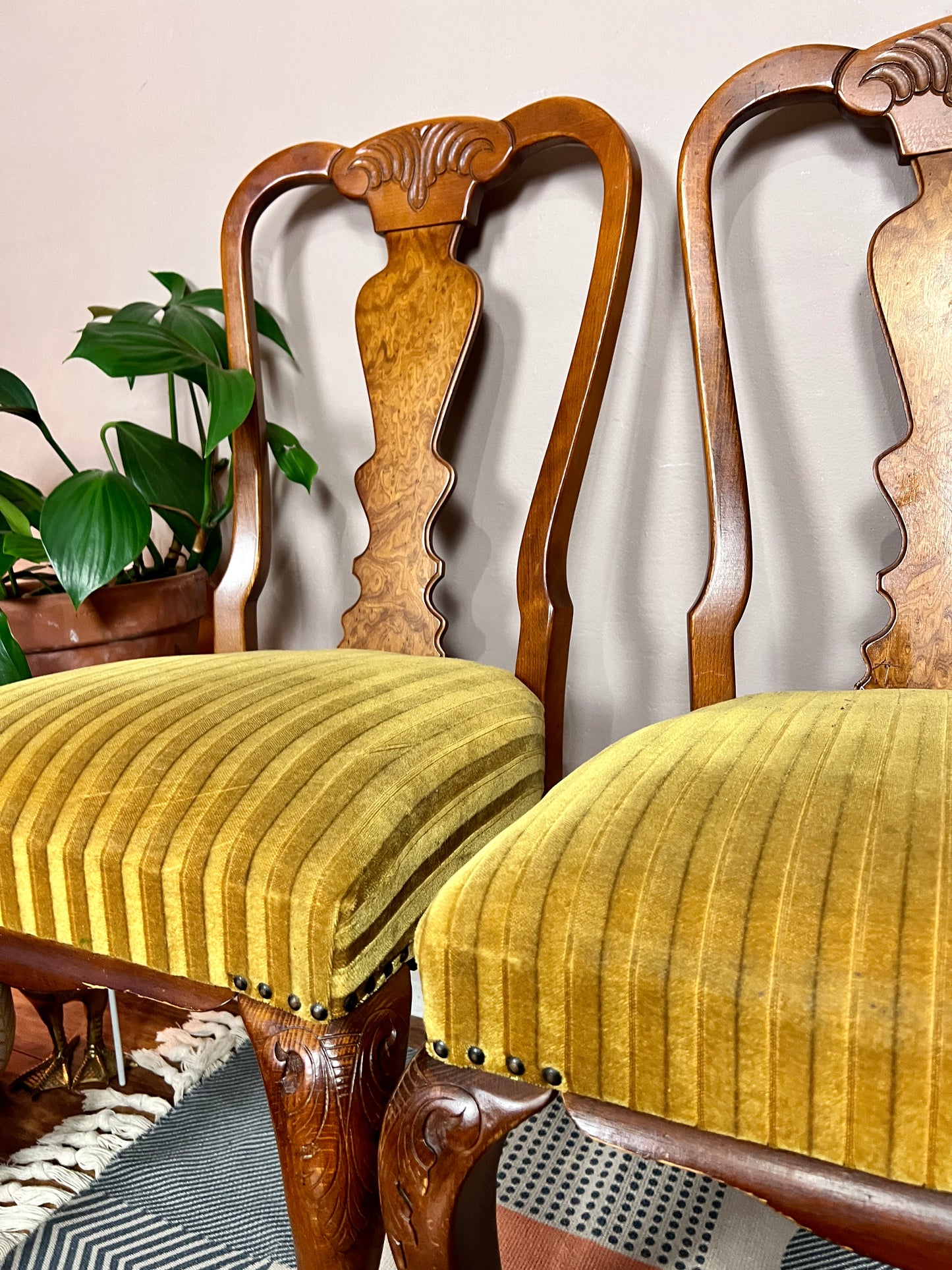 The Magnificent Mustard Chairs