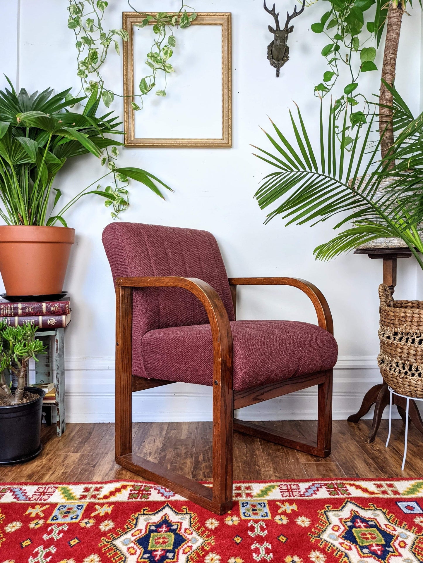 The Coral Tree Chairs