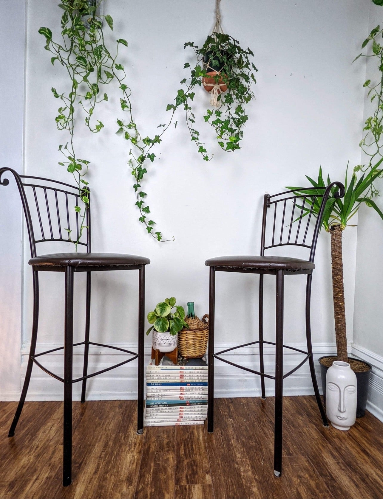 The Chocolate Pudding Stools
