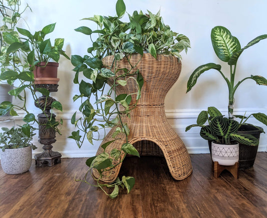 The Feline Hut & Plant Stand